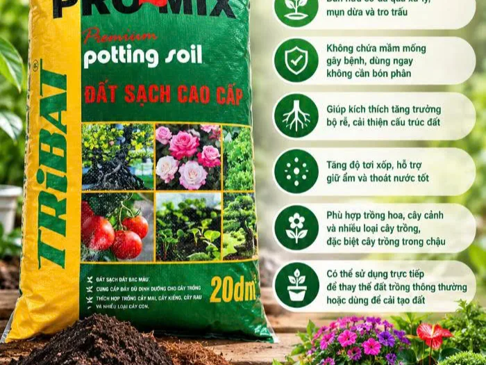 ĐẤT SẠCH CAO CẤP PROMIX